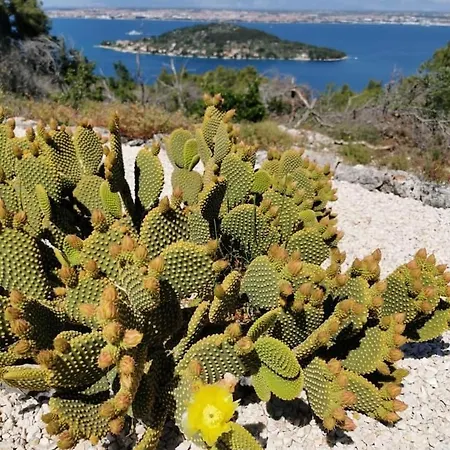 Сasa de vacaciones Secluded House - Ugljan - 23713 Kali