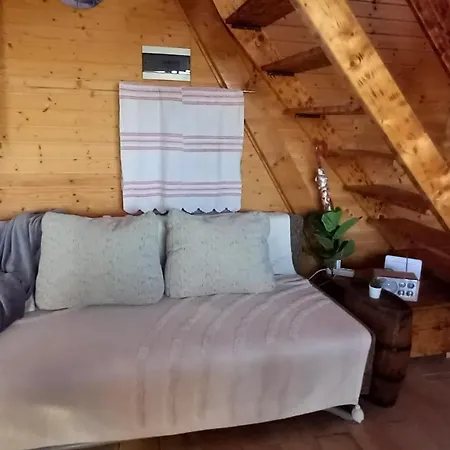 Secluded House - Ugljan - 23713